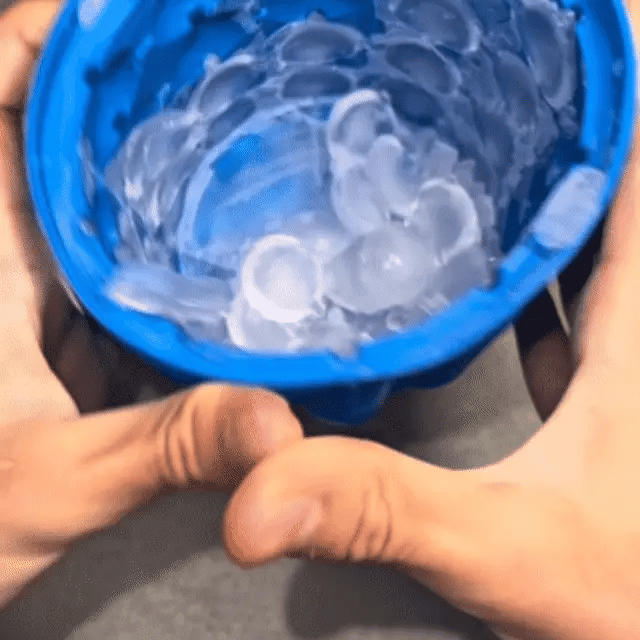 FreezeMunch